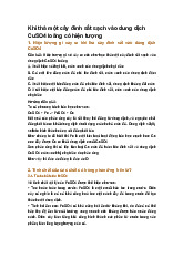 Khi thả một cây đinh sắt sạch vào dung dịch CuSO4 loãng có hiện tượng