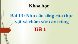 Giáo án điện tử Khoa học 4 Bài 13 Cánh diều: Nhu cầu sống của thực vật và chăm sóc cây trồng (Tiết 1)