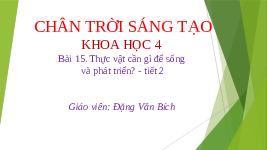 Giáo án điện tử Khoa học 4 Bài 15 Chân trời sáng tạo: Thực vật cần gì để sống và phát triển?