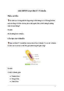 Giải KHTN Lớp 6 Bài 27: Vi khuẩn | Kết nối tri thức