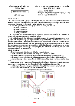 Đề Tuyển Sinh 10 Chuyên Môn Sinh Sở GD Quảng Nam 2019-2020 (có lời giải)