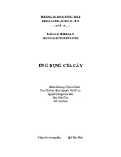 Báo cáo tiểu luận Ứng dụng của cây môn Lý thuyết đồ thị | Đại học Đồng Tháp