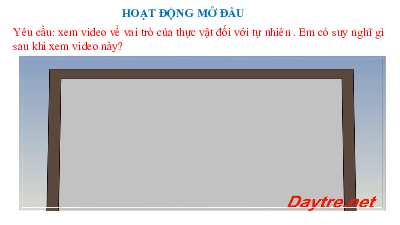Bài 15: Tổng hợp các chất | Bài giảng PowerPoint môn Sinh học 10 | Chân trời sáng tạo