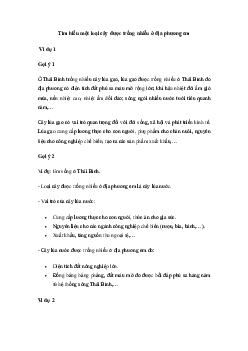 Tìm hiểu một loại cây được trồng nhiều ở địa phương em - Kết Nối Tri Thức