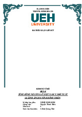 Tình hình nợ công Việt Nam và đề xuất giải pháp | Tiểu luận môn Kinh vế vĩ mô
