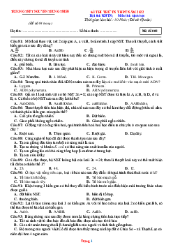 Đề Thi Thử TN Môn Sinh 2022 THPT Nguyễn Trung Thiên -Lần 1 (Có Đáp Án)