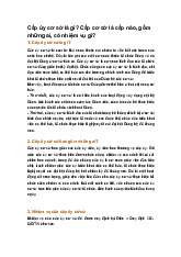 Cấp ủy cơ sở là gì? Cấp cơ sở là cấp nào, gồm những ai, có nhiệm vụ gì?