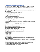 Đề thi giữa kì 1 Lịch sử 12 Chân trời sáng tạo