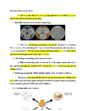 Đề cương môn vi sinh thực phẩm- Trường Đại học bách khoa - Đại học đà nẵng.