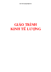 Tài liệu Giáo trình môn Kinh tế lượng | Đại học Thăng Long
