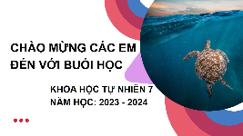 Giáo án điện tử Khoa học tự nhiên 7 bài 18 Chân trời sáng tạo : Nam châm
