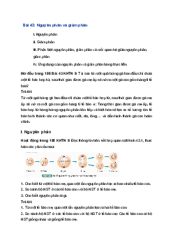 Giải Khoa học tự nhiên 9 Kết nối tri thức Bài 43: Nguyên phân và giảm phân