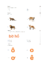 Bài thi: Vòng 4 (có đáp án) - Sân chơi Trạng Nguyên Tiếng Việt Khối 1 Năm học 2025 - 2026