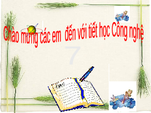 Giáo án điện tử Công nghệ 7 Bài 3 Kết nối tri thức: Gieo trồng, chăm sóc và phòng trừ sâu, bệnh cho cây trồng