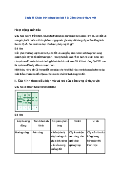 Sinh 11 Chân trời sáng tạo bài 15: Cảm ứng ở thực vật