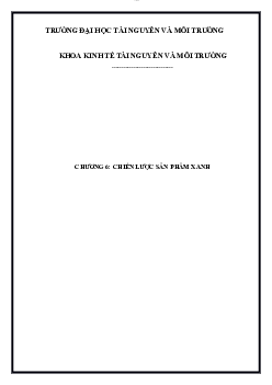 Tiểu luận: chiến lược sản phẩm xanh