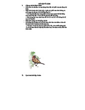 HỆ HÔ HẤP Ở CHIM: CẤU TẠO VÀ QUÁ TRÌNH HÔ HẤP KÉP