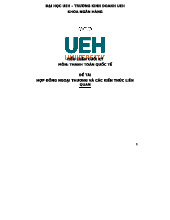 Tiểu Luận Cuối Kỳ: Hợp Đồng Ngoại Thương & Kiến Thức Liên Quan (TTQT)