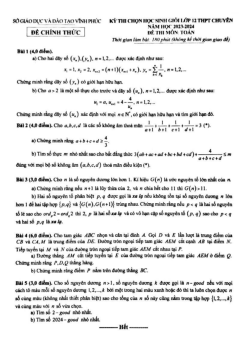 Đề học sinh giỏi Toán 12 chuyên năm 2023 – 2024 sở GD&ĐT Vĩnh Phúc