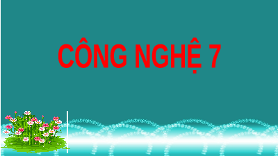 Giáo án điện tử Công nghệ 7 Bài 15 Kết nối tri thức: Nuôi cá ao