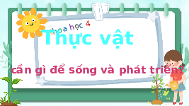 Giáo án điện tử Khoa học 4 Bài 15 Chân trời sáng tạo: Thực vật cần gì để sống và phát triển?
