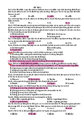 Đề thi cuối kỳ 1 môn Sinh học 12