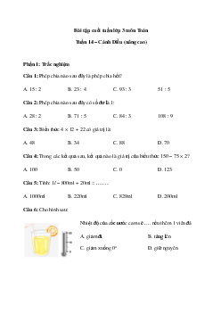 Phiếu bài tập cuối tuần Toán 3 - Tuần 14 (nâng cao) | Cánh Diều