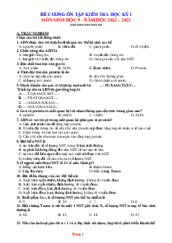 Đề Cương Ôn Tập Học Kỳ 1 Sinh Học 9 Năm 2022-2023 (có lời giải)