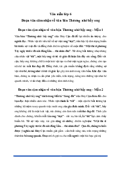 Văn mẫu lớp 6: Đoạn văn cảm nhận văn bản Thương nhớ bầy ong (2 mẫu) - Chân Trời Sáng Tạo