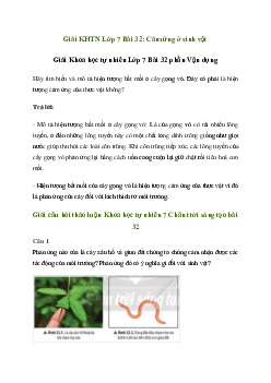 Giải Khoa học tự nhiên 7 Bài 32: Cảm ứng ở sinh vật | Chân trời sáng tạo