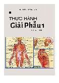 Thực hành Giải Phẫu - Giải Phẫu 1 | Trường Đại học Nam Cần Thơ