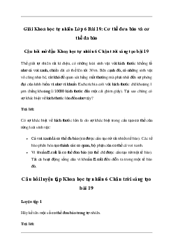 Giải KHTN 6 Bài 19: Cơ thể đơn bào và cơ thể đa bào Chân trời sáng tạo