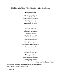Đề đọc hiểu Tiếng Việt 4 Kết nối tri thức với cuộc sống