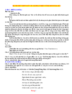 Đề thi thử THPT Quốc gia môn Ngữ văn năm 2023 bám sát đề minh họa - Đề 3 (có lời giải)