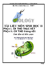 Bồi dưỡng HSG môn Sinh học 11 | Sinh Học 11
