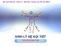 Bài giảng Sinh lý hệ nội tiết môn Sinh lý học | Đại học Y Dược Thành phố Hồ Chí Minh