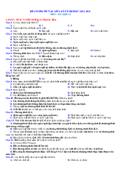 Đề cương ôn tập giữa học kỳ 1 Tin Học 11 năm 2022-2023( có đáp án)