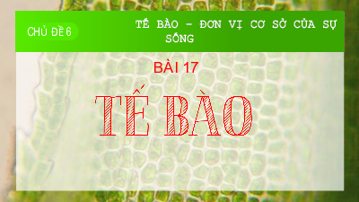 Bài 17: Tế bào | Bài giảng PowerPoint KHTN 6 | Chân trời sáng tạo