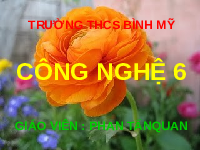 Giáo án điện tử Công nghệ 6 Bài 1 Chân trời sáng tạo: Nhà ở đối với con người