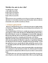 Trên Địa Cầu, nước ta nằm ở đâu - Địa lí 6