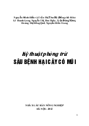 Kỹ thuật phòng trừ sâu bệnh hại cây có múi