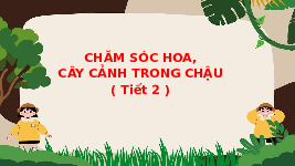 Giáo án điện tử Công nghệ 4 Bài 5 Tiết 2 Chân trời sáng tạo: Chăm sóc hoa và cây cảnh trong chậu
