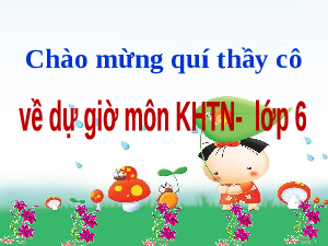 Giáo án điện tử Khoa học tự nhiên 6 bài 5 Kết nối tri thức : Đo chiều dài
