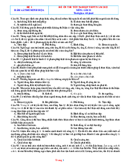 Đề ôn thi tốt nghiệp 2022 GDCD phát triển từ đề minh họa (có đáp án)-Đề 1