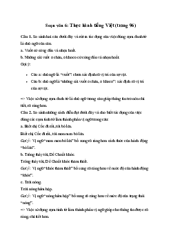 Soạn bài Thực hành tiếng Việt trang 96 - Chân trời sáng tạo 6