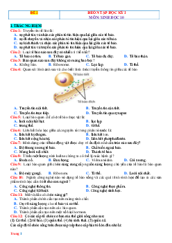 Đề ôn thi HK1 môn Sinh 10 Kết nối tri thức-Đề 2 (có đáp án)