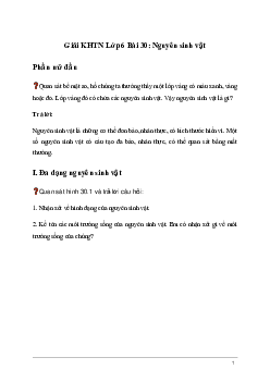 Giải KHTN Lớp 6 Bài 30: Nguyên sinh vật | Kết nối tri thức