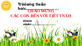 Giáo án điện tử Tự nhiên và xã hội 2 Bài 3 Chân trời sáng tạo: Phòng tránh ngộ độc khi ở nhà.