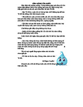 HÌNH DÁNG CỦA NƯỚC - THẢO LUẬN VÀ CÂU HỎI ÔN TẬP