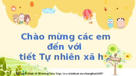 Giáo án điện tử Tự nhiên và Xã hội 2 Bài 4 Kết nối tri thức: Giữ sạch nhà ở